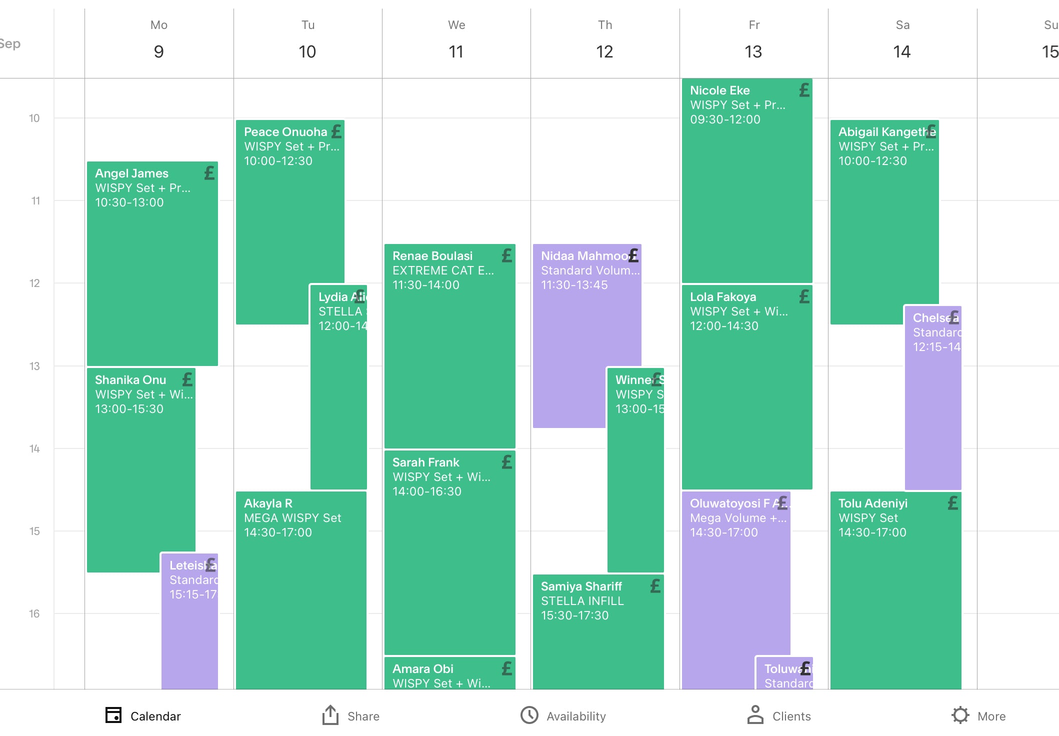HOW TO REALLY BE FULLY BOOKED & PROFITABLE: The Ultimate Guide on Increasing Your Clientele