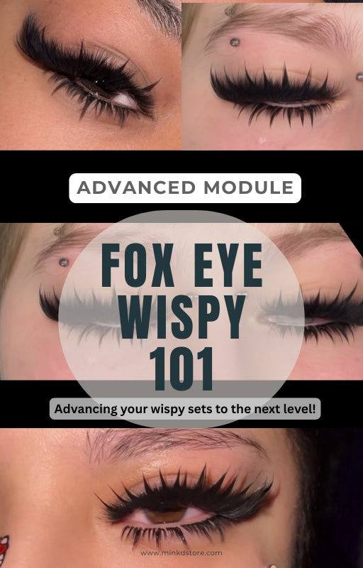 FOX EYE WISPY - ADVANCED MODULE
