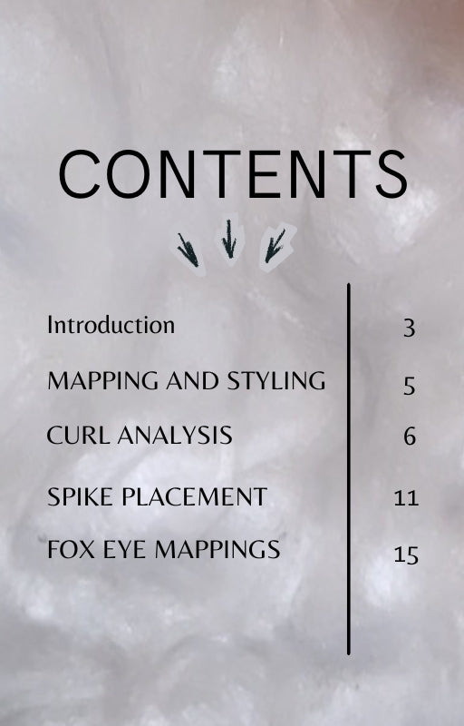 FOX EYE WISPY - ADVANCED MODULE